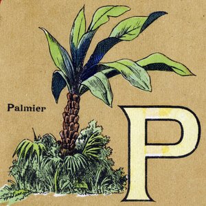 Buchstabe P wie Palme. Illustriertes Alphabet. Bildereien vereint in Jarville-Nancy, Anfang des 20. Jahrhunderts. Dim: 40 x 29 cm. Lithographie auf bistre Hintergrund von Unbekannt