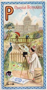Buchstabe P: Palast, Pavillon, Regenschirm, Fotograf, Brücke, Angeln, Pfau, Gedanke. Gravur des Alphabets herausgegeben von Chocolat Suchard, Anfang des 20. Jahrhunderts. 24 Chromolithografien. von Unbekannt
