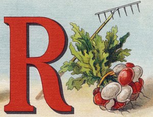 Buchstabe R: Rechen, Rettich. Gravur in "Alphabet de ma petite fille". Bernardin-Bechet und Fils, Buchhändler-Verleger, Paris, um 1895. Unzerbrechliches Album auf Leinwand. Bibliotheque des Bebes.