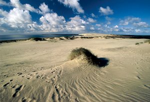 Bewegende Sanddünen, Prussische Sahara, Kurische Nehrung, Nida, Klaipeda, Litauen
