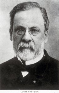 Louis Pasteur, französischer Chemiker und Mikrobiologe, ca. 1885