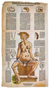 Medizin: anatomische Tafel, die die weibliche Anatomie aus einem Renaissance-Medizinbuch beschreibt. Um die Figur einer sitzenden Frau sind lebenswichtige Organe wie Leber, Lunge und Zwerchfell, Magen und Fortpflanzungsapparat aufgelistet und illustriert.  von Unbekannter Künstler