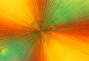 Mikrographien (Licht) Ascorbinsäure, Lichtmikrographie von Unbekannt