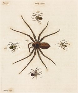 Mikroskopie