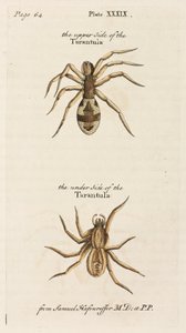 Mikroskopie von Unbekannt