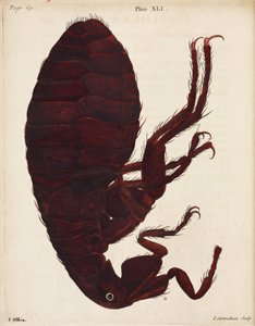 Mikroskopie von Unbekannt