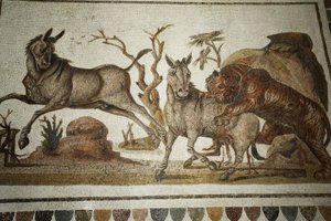 Mosaik von Tierkämpfen: Tiger greift zwei Nachtprimaten an. II Jh. n. Chr. / Museum von El Jem (Antikes Thysdrus) / Tunesien
