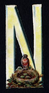 N wie Nest. Serie von 26 Waffel-Chromolithographien englischen Ursprungs. Ende des 19. Jahrhunderts. von Unbekannt