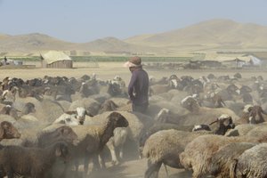Nomadenzelte zwischen Tamar und Ashkhaneh, Iran 2022 von Unbekannter Künstler