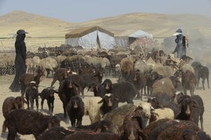 Nomadenzelte zwischen Tamar und Ashkhaneh, Iran 2022 von Unbekannter Künstler