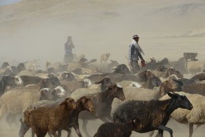 Nomadenzelte zwischen Tamar und Ashkhaneh, Iran 2022