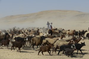 Nomadenzelte zwischen Tamar und Ashkhaneh, Iran 2022