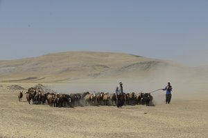 Nomadenzelte zwischen Tamar und Ashkhaneh, Iran 2022