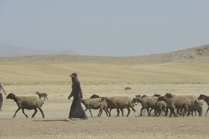 Nomadenzelte zwischen Tamar und Ashkhaneh, Iran 2022 von Unbekannter Künstler