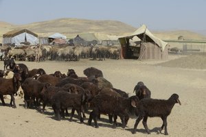 Nomadenzelte zwischen Tamar und Ashkhaneh, Iran 2022 von Unbekannter Künstler