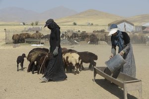 Nomadenzelte zwischen Tamar und Ashkhaneh, Iran 2022 von Unbekannter Künstler