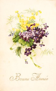 Alte Postkarte/Veilchen und Mimose von Unbekannt