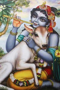 Gemälde darstellend den hinduistischen Gott Krishna, der Flöte spielt und ein Kalb streichelt. Indien
