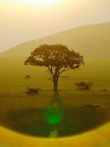 Paradies nach dem Regen, Chyulu Hills, 2018