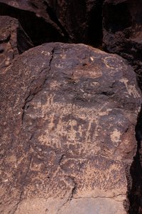 Petroglyphen, die Tiere und Figuren darstellen - Petroglyph National Monument - Albuquerque, New Mexico, USA