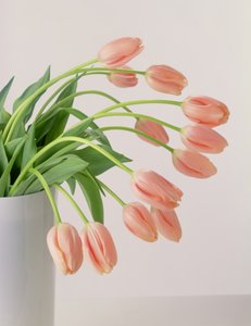 Rosa Tulpen von Unbekannter Künstler