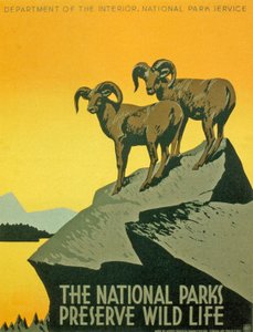 Plakat zur Förderung der Biodiversität in Nationalparks von Unbekannter Künstler