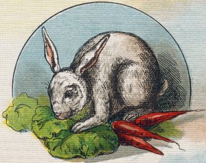 Kaninchen isst eine Karotte. Gravur in "Alphabet de ma petite fille". Bernardin-Bechet und Fils, Buchhändler-Verleger, Paris, um 1895. von Unbekannt