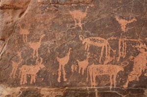Felskunst, Vorgeschichte: Detail einer Gravur eines Sets von Straußen und Rindern im Uweinat-Massiv, Ägypten. Zeitraum von 8000 bis 3000 v. Chr.