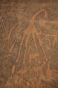 Felskunst, Vorgeschichte: Gravur von Giraffen, Straußen, Schafen und Figuren im Uweinat-Massiv, Sudan (Karkur-Talh oder Karkur Talh). Zeitraum von 8000 bis 3000 v. Chr. Fotografie von Unbekannt
