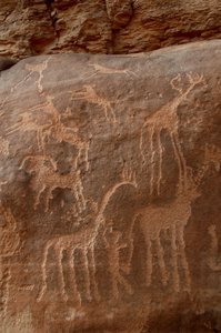 Felskunst, Vorgeschichte: Gravur von Giraffen, Straußen, Schafen, Hund und Figur im Uweinat-Massiv, Sudan (Karkur-Talh oder Karkur Talh). Zeitraum von 8000 bis 3000 v. Chr. von Unbekannt