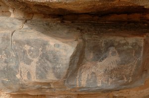Felskunst, Vorgeschichte: Gravur von drei Rindern im Uweinat-Massiv, Sudan (Karkur-Talh oder Karkur Talh). Zeitraum von 8000 bis 3000 Jahre v. Chr. Fotografie von Unbekannt