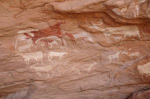 Felskunst, Vorgeschichte: Malerei eines Viehbestands in einem verzierten Schutzraum im Uweinat-Massiv, Sudan (Karkur-Talh oder Karkur Talh). Zeitraum von 8000 bis 3000 Jahre v. Chr. Fotografie von Unbekannt