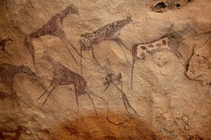 Felskunst, Vorgeschichte: Felsmalerei einer Gruppe von Rindern und polychromen Figuren in einem verzierten Schutzraum im Uweinat-Massiv, Sudan. Zeitraum von 8000 bis 3000 v. Chr. Fotografie von Unbekannt