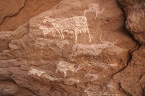 Felskunst, Vorgeschichte: Felsmalerei einer Gruppe von Rindern in einem verzierten Schutzraum im Uweinat-Massiv, Sudan (Karkur-Talh oder Karkur Talh). Zeitraum von 8000 bis 3000 Jahre v. Chr. Fotografie von Unbekannt