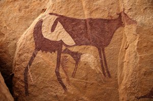Felskunst, Vorgeschichte: Felsmalerei einer großen zweifarbigen Kuh und ihres Kalbes in einem verzierten Schutzraum im Uweinat-Massiv, Sudan. Zeitraum von 8000 bis 3000 v. Chr. Fotografie von Unbekannt