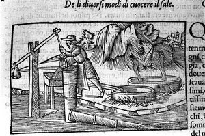 Salzproduktion: Kochen. Gravur von Olaus Magnus (1490-1557), schwedischer Geistlicher und Geograph, „Historia de Gentis Septentrionalibus“, Venedig