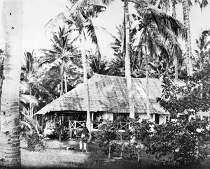 Singapur: Ein privater Bungalow umgeben von Palmen. Singapur, ca. 1875 von Unbekannt