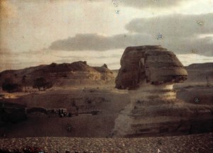 Sphinx von Unbekannter Künstler