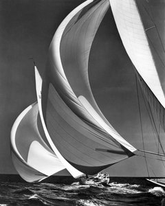 Spinnaker auf Rennsegelbooten