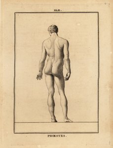 Statue von Orestes, nackt, Sohn des Agamemnon in der griechischen Mythologie