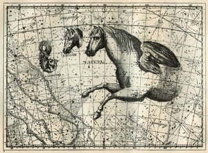 Die Konstellation des Pegasus, gezeichnet wie die vordere Hälfte eines Pferdes mit einem Paar Flügel, das kleine Pferd, ein Pferdekopf und der Delphin. Gravur aus „Les étoiles et les autres curiosités du ciel“ von Camille Flammarion