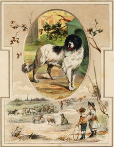 Der Hund (Illustration aus „Mon premier Grand Alphabet“) von Unbekannt