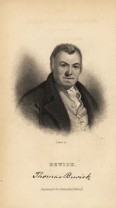 Thomas Bewick, englischer Graveur und Naturgeschichtsschreiber von Unbekannt