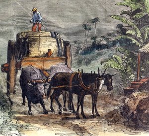 Transport von Rum