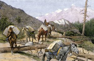 Transport von Vorräten und Pelzen zu Pferd in den Rocky Mountains, USA. Nach einer Illustration von Frederic Remington. Packzug, der Vorräte oder Pelze über die Rockies transportiert von Unbekannter Künstler