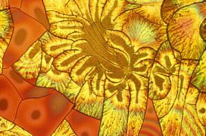 Vitamine, LM Ascorbinsäure/Natriummischung von Unbekannt