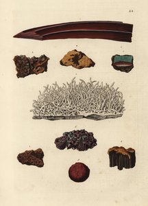 Varietäten von Eisenerz. Handkolorierter Kupferstich nach einer Illustration aus Georg Wolfgang Knorrs Deliciae Naturae Selectae oder Kabinet van Zeldzaamheden der Natuur, Blusse und Sohn, Nürnberg
