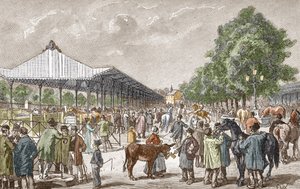 Ansicht des Pferdemarktes im 5. Bezirk von Paris. Gravur aus Les stages d