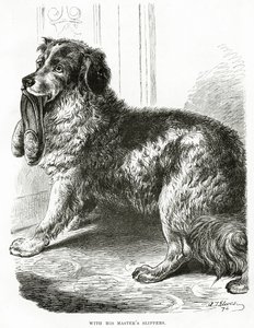 Mit den Hausschuhen seines Meisters (1902) von Unbekannt