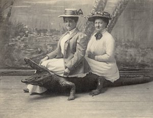 Frauen sitzen auf einem ausgestopften Alligator, ca. 1905 (s/w Foto) von Unbekannter Künstler